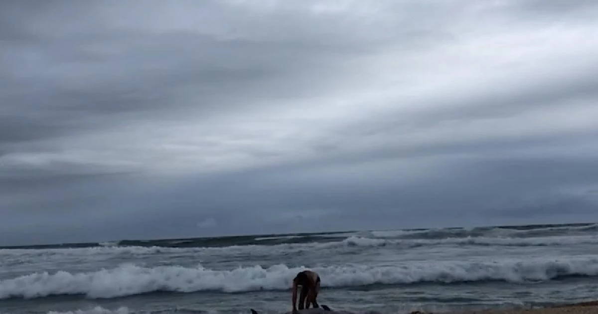 Βίντεο που συγκινεί: Ανθρωπος προσπαθεί να σώσει δελφίνι (βίντεο)